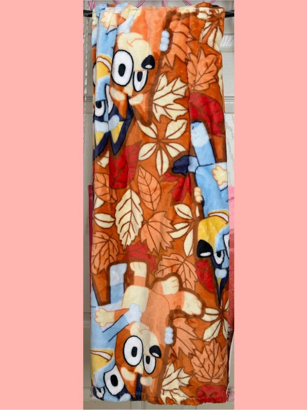 NWT 50in x 70in Bluey Plush Throw